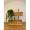 Rattan Çok Amaçlı 2 Katlı Organizer 